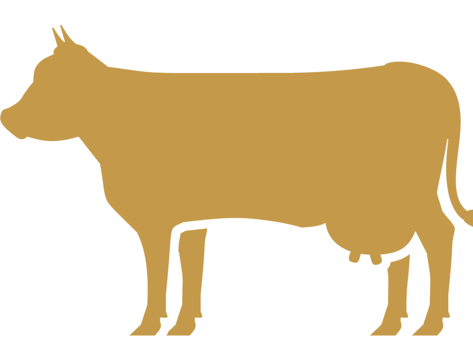icon-cow